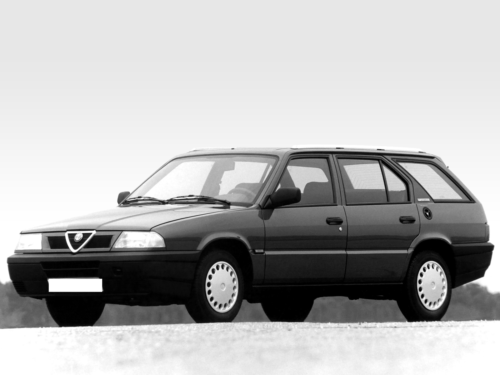 Alfa Romeo 33 Sportwagon (01.1990 - 09.1994)