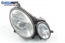 Xenon headlight for Mercedes-Benz E-Class 211 (W/S) 2.7 CDI, 177 hp, sedan, 5 doors, 2003, position: right Xenon headlight for Mercedes-Benz E-Class 211 (W/S) 2.7 CDI, 177 hp, sedan, 5 doors, 2003, position: right