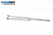 Boot lid dampers for Volkswagen Passat (B5; B5.5) 1.9 TDI, 110 hp, station wagon, 5 doors, 1999