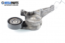 Idler pulley for Volkswagen Passat (B6) 1.9 TDI, 105 hp, station wagon, 2008