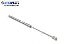 Bonnet damper for BMW X6 (E71, E72) 3.0 xDrive, 306 hp, suv automatic, 2008