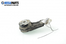Tensioner pulley for Opel Signum 2.2 direct, 155 hp, hatchback automatic, 2006