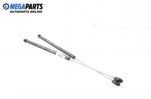 Rear window dampers for Renault Laguna I (B56; K56) 1.9 dTi, 98 hp, station wagon, 1998 Rear window dampers for Renault Laguna I (B56; K56) 1.9 dTi, 98 hp, station wagon, 1998