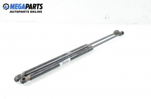 Boot lid dampers for Renault Grand Scenic II 1.9 dCi, 120 hp, minivan, 2006 Boot lid dampers for Renault Grand Scenic II 1.9 dCi, 120 hp, minivan, 2006