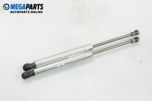 Boot lid dampers for Volkswagen Phaeton 5.0 TDI 4motion, 313 hp, sedan automatic, 2004 Boot lid dampers for Volkswagen Phaeton 5.0 TDI 4motion, 313 hp, sedan automatic, 2004