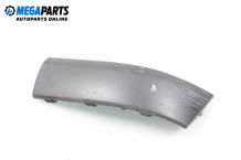 Exterior moulding for Renault Clio II 1.2 16V, 75 hp, hatchback, 2003, position: left Exterior moulding for Renault Clio II 1.2 16V, 75 hp, hatchback, 2003, position: left