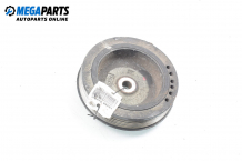 Damper pulley for Renault Megane Scenic 1.9 dT, 90 hp, minivan automatic, 2000 Damper pulley for Renault Megane Scenic 1.9 dT, 90 hp, minivan automatic, 2000