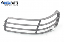 Headlights trim for Land Rover Freelander I (L314) 1.8 16V 4x4, 120 hp, 5 doors, 1999, position: left