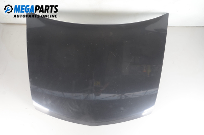 Bonnet for Renault Vel Satis 3.0 dCi, 177 hp, hatchback, 5 doors automatic, 2003, position: front