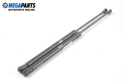Stoßdämpfer heckklappe for Audi A3 (8L) 1.8, 125 hp, hecktür, 1998