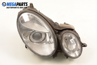 Xenon headlight for Mercedes-Benz E-Class 211 (W/S) 3.2 CDI, 177 hp, station wagon, 5 doors automatic, 2005, position: right
