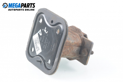 Stoßdämpfer, hinten for BMW 5 (E60, E61) 2.2, 170 hp, sedan automatic, 2004, position: rechts, rückseite