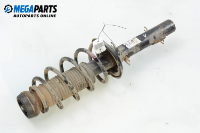 MacPherson-federbein for Volkswagen Golf IV 1.9 TDI, 115 hp, hecktür, 2001, position: links, vorderseite