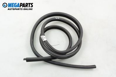 Door seal for BMW 5 (E60, E61) 2.5 d, 177 hp, sedan, 2005, position: rear - left