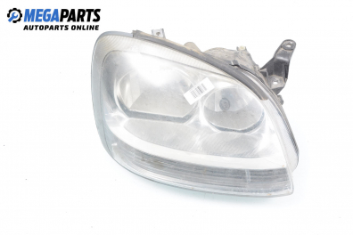 Headlight for Nissan Almera TINO (V10) (08.2000 - ...), minivan, position: right