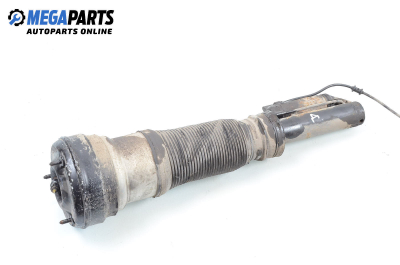 Air shock absorber for Mercedes-Benz S-Class (W220) (10.1998 - 08.2005), sedan, position: front - right
