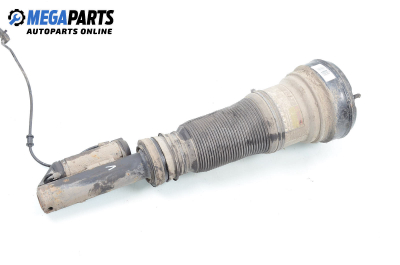 Air shock absorber for Mercedes-Benz S-Class (W220) (10.1998 - 08.2005), sedan, position: front - left