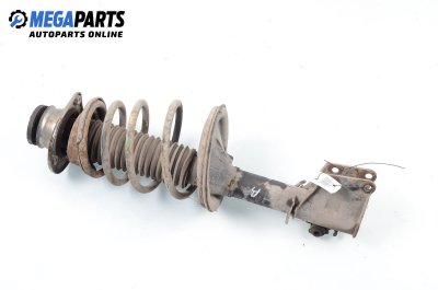 MacPherson-federbein for Fiat Palio Weekend (178DX) (04.1996 - 04.2012), combi, position: rechts, vorderseite