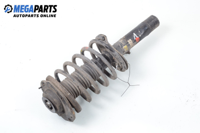 MacPherson-federbein for Citroen Xsara (N1) (04.1997 - 04.2005), hecktür, position: links, vorderseite