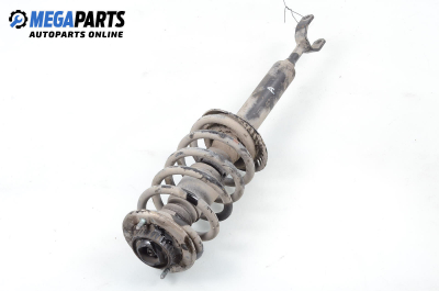 Macpherson shock absorber for Audi A6 Avant (4B5, C5) (11.1997 - 01.2005), station wagon, position: front - right