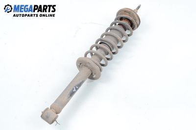 Macpherson shock absorber for Seat Cordoba Vario (6K5) (08.1996 - 06.1999), station wagon, position: rear - right
