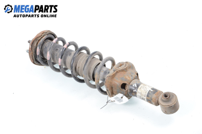 Macpherson shock absorber for Rover 25 (RF) (09.1999 - 05.2005), hatchback, position: rear - right