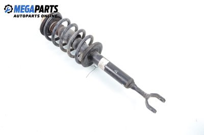 MacPherson-federbein for Volkswagen Passat V  (3B3) (11.2000 - 05.2005), sedan, position: rechts, vorderseite