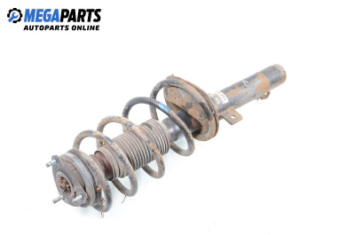 MacPherson-federbein for Ford Transit Connect (06.2002 - 12.2013), lkw, position: links, vorderseite