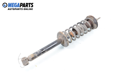 MacPherson-federbein for Volkswagen Golf III Hatchback (08.1991 - 07.1998), hecktür, position: rechts, rückseite