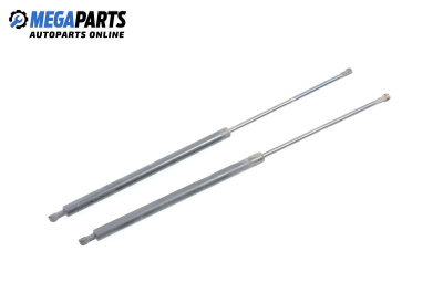 Stoßdämpfer heckklappe for Renault Kangoo Van (08.1997 - 02.2008)