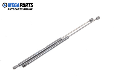 Tije telescopice, portbagaj for Citroen ZX Hatchback (03.1991 - 07.1999)