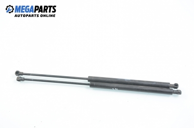 Stoßdämpfer heckklappe for Peugeot 206 1.1, 60 hp, hecktür, 1999
