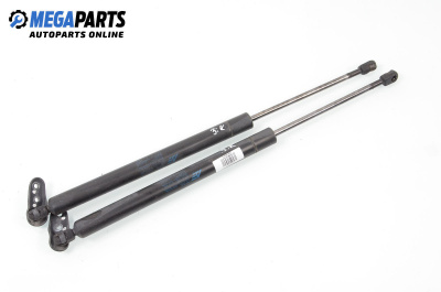 Tije telescopice, portbagaj for Volkswagen Sharan Minivan I (05.1995 - 03.2010)