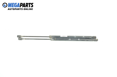 Tije telescopice, portbagaj for Peugeot 406 Break (10.1996 - 10.2004)