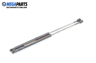 Tije telescopice, portbagaj for Hyundai Santa Fe I SUV (11.2000 - 03.2006)