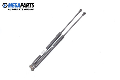 Stoßdämpfer heckklappe for Audi A3 Hatchback II (05.2003 - 08.2012)