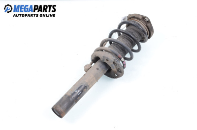 MacPherson-federbein for Audi A3 Hatchback II (05.2003 - 08.2012), hecktür, position: links, vorderseite