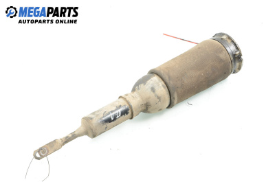 Air shock absorber for Audi A6 Allroad  C5 (05.2000 - 08.2005), station wagon, position: front - left