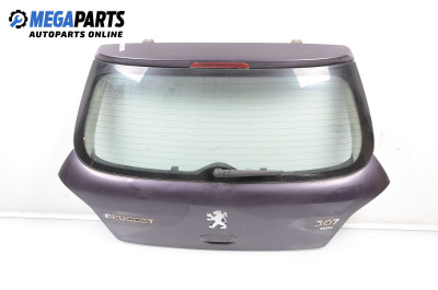 Capac spate for Peugeot 307 Hatchback (08.2000 - 12.2012), 3 uși, hatchback, position: din spate