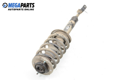 MacPherson-federbein for Audi A6 Avant C5 (11.1997 - 01.2005), combi, position: links, vorderseite