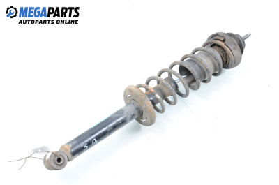 Macpherson shock absorber for Volkswagen Polo Hatchback II (10.1994 - 10.1999), hatchback, position: rear - right