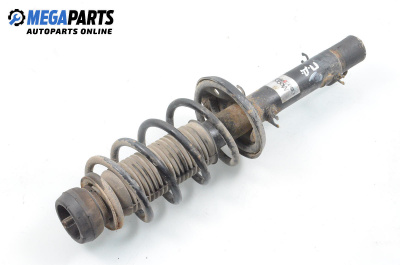 MacPherson-federbein for Skoda Octavia I Hatchback (09.1996 - 12.2010), hecktür, position: rechts, vorderseite