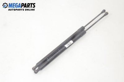 Tije telescopice, portbagaj for Renault Modus / Grand Modus Minivan (09.2004 - 09.2012)