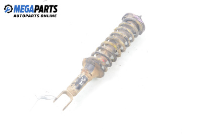 Macpherson shock absorber for Honda Civic VI Aerodeck (04.1998 - 02.2001), station wagon, position: rear - right