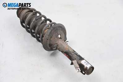 MacPherson-federbein for Volkswagen Golf IV Hatchback (08.1997 - 06.2005), hecktür, position: links, vorderseite