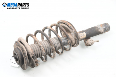 Macpherson shock absorber for Citroen ZX Break (10.1993 - 07.1999), station wagon, position: front - right
