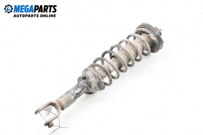 Macpherson shock absorber for Honda Civic VI Hatchback (10.1995 - 02.2001), hatchback, position: rear - right