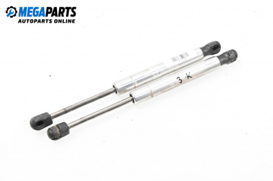 Tije telescopice, portbagaj for Volkswagen Passat IV Sedan B5.5 (10.2000 - 12.2005)