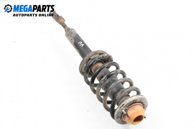 MacPherson-federbein for Volkswagen Passat IV Sedan B5.5 (10.2000 - 12.2005), sedan, position: links, vorderseite