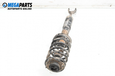 Macpherson shock absorber for Audi A6 Allroad  C5 (05.2000 - 08.2005), station wagon, position: front - right